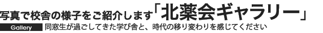 同窓生が過ごしてきた学び舎と、時代の移り変わりを感じてください　写真で校舎の様子をご紹介します「北薬会ギャラリー」